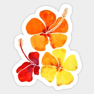 Tropical Hibiscuses Sticker